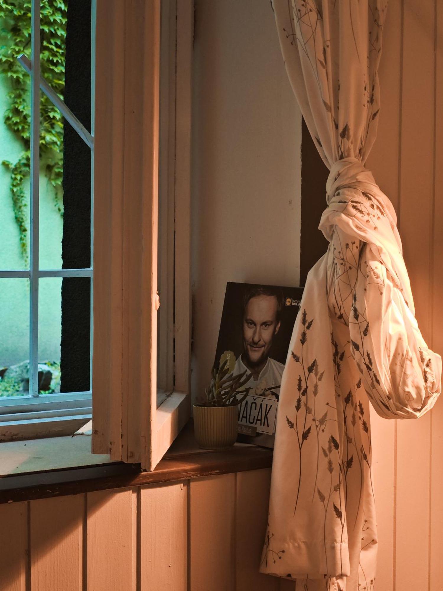 Vintage Room With Garden View Bratislava Exteriör bild