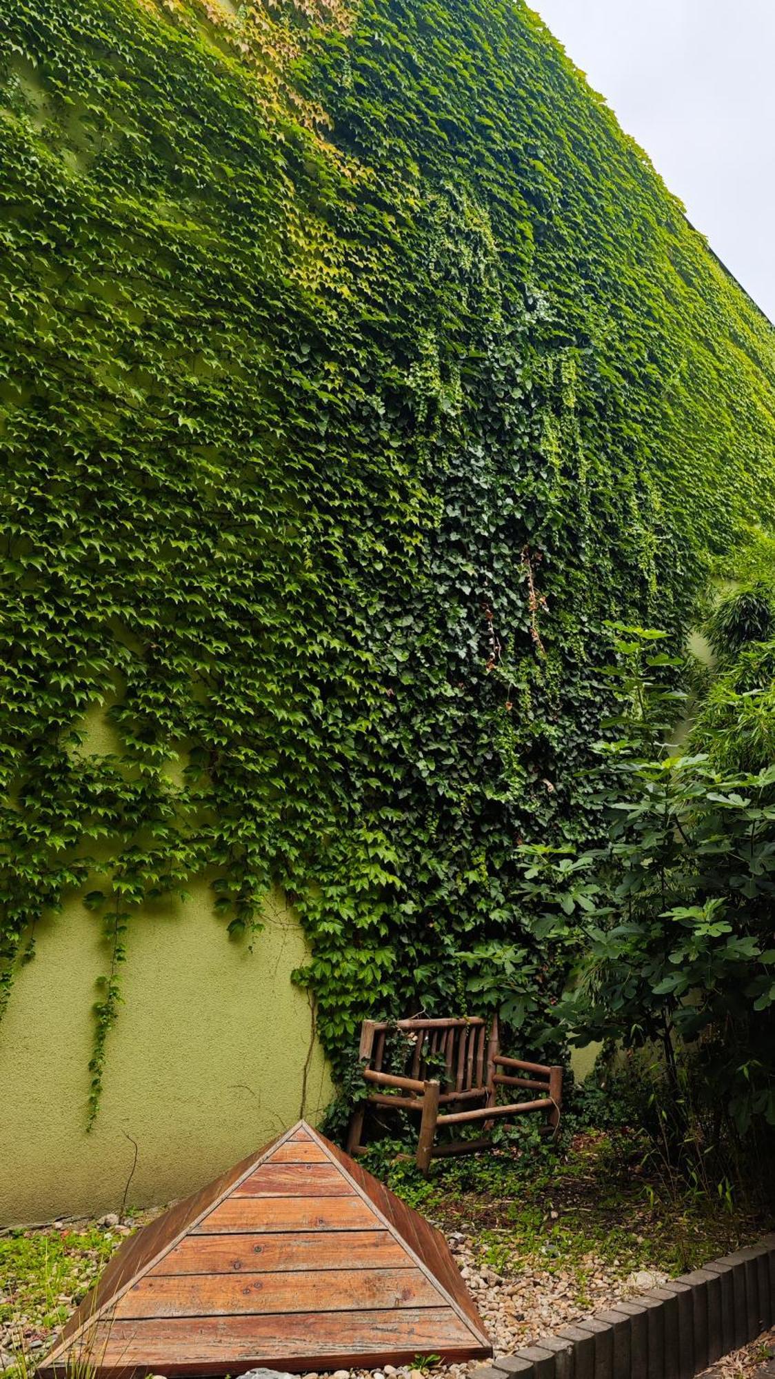 Vintage Room With Garden View Bratislava Exteriör bild